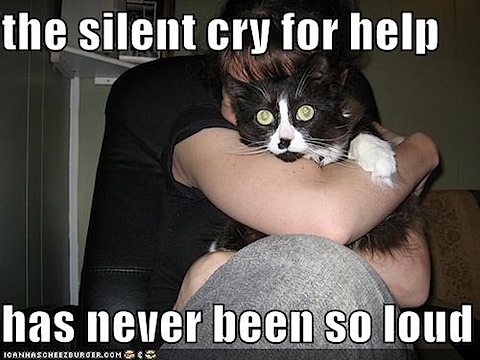 image: funny-pictures-silent-cry-for-help-cat